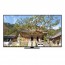 [삼성전자/KQ75QND87AFXKR] 2024 Neo QLED 4k QND87 189cm(75인치)